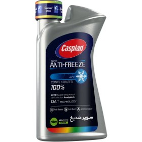 تصویر ضدیخ کاسپین مدل چهار فصل حجم ۱ لیتر 