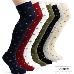 تصویر بالا زانوی شکوفه 