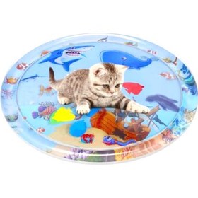 تصویر استخر بازی گربه 