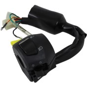 تصویر قلوه چراغ بنلی 150 چپ اصلی 