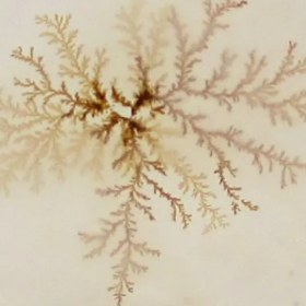 تصویر سنگ شجر کد 2388 