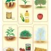 تصویر پوستر آموزشی منابع غذایی گیاهی 