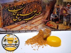 تصویر گرده گل 