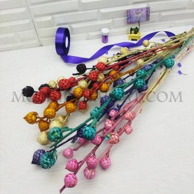 تصویر گل خشک مدل پیازی 