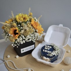 تصویر مینی آفتابگردان و بنتو کیک 