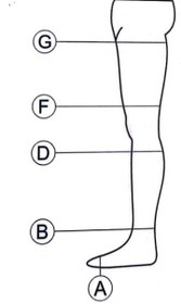 تصویر جوراب واریس درجه یک (BF بدون کف_بالای زانو) Compression Stocking