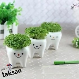 تصویر گلدان کوچک طرح دندان ۳ عددی 