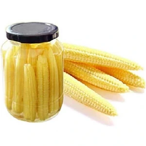 تصویر فروشگاه پالامی