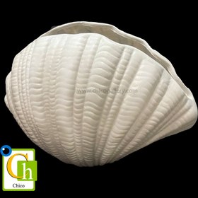 تصویر گلدان صدف 