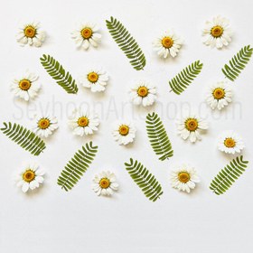 تصویر برگ قهر و آشتی 