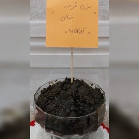 تصویر سبزی قرمه سرخ شده شمالی(250گرم) 