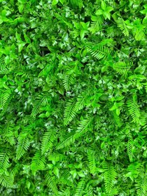 تصویر گرینوال - پیچک 