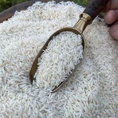 تصویر برنج هاشمی درجه یک ۱۰ کیلویی الک سه 