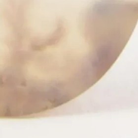 تصویر سنگ شجر کد 3049 