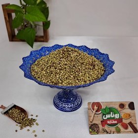 تصویر تخم گشنیز توپی 