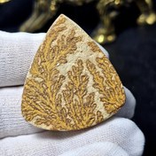 تصویر نگین درشت مدالی کلکسیونی سنگ طبیعی فسیل شجر معدنی کد 31758 