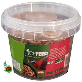 تصویر میل ورم تاپ فید وزن 10 گرم TOP FEED dries mealworms 10gr