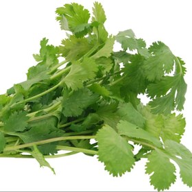 تصویر بذر گشنیز پایه بلند 20 گرمی 