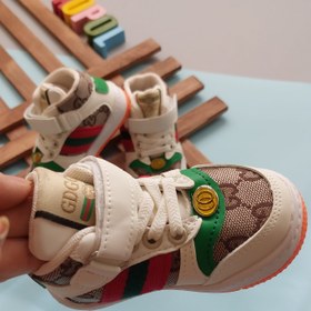 تصویر کفش بچگانه گوچی 