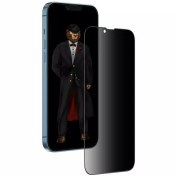 تصویر محافظ صفحه نمایش پرایوسی اپل iPhone 14 Pro Max از شیشه 