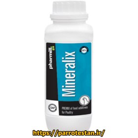 تصویر مینرال ایکس mineralix