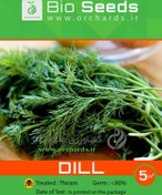 تصویر بذر شويد Bio Seeds 