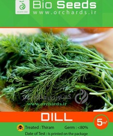 تصویر بذر شويد Bio Seeds 