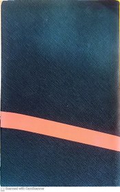 تصویر سالنامه اروپایی 2 رنگ شفق 1404 