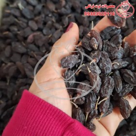 تصویر مویز هسته دار 