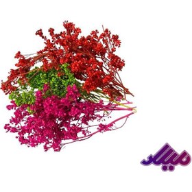 تصویر گل خشک درختی چند رنگ G117 