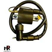 تصویر کوئل برق تک فیش با سرشمع راپیدو 