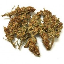 تصویر سماق خوشه ای کد 105 