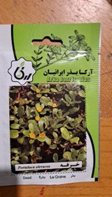 تصویر بذر خرفه 