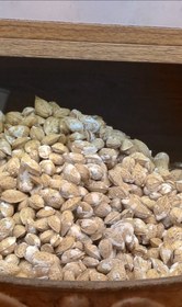 تصویر بادام محب شور 