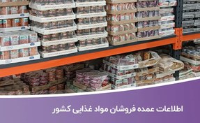 تصویر خرید و دانلود اطلاعات عمده فروشان مواد غذایی کشور 