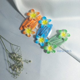 تصویر تق تقی پلومریا تک عددی - بنفش 