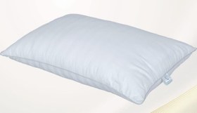 تصویر بالش 900 گرمی مدل گلوریا کد 422 