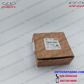 تصویر اویل پمپ ARRIZO 5 کدE4T16-1011030 وارداتی 