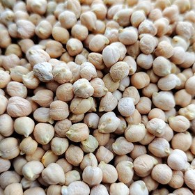 تصویر نخود ۱ کیلوگرم دیم 