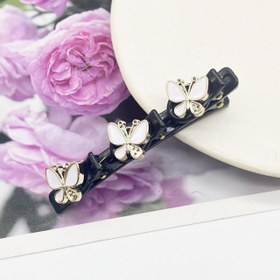 تصویر گیره تقسیم پروانه 