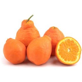 تصویر نارنگی آنجلو فله - 1 کیلوگرم (حداقل 4 عدد) ا Angelo Pear Tangerine 1kg Angelo Pear Tangerine 1kg