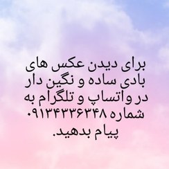 تصویر بادی نگین دار 