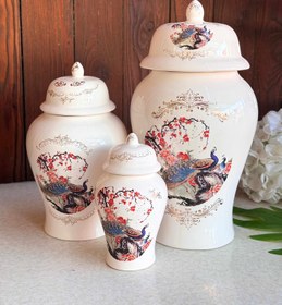 تصویر جینجر طاووس کد۰۰۳۸۰ 