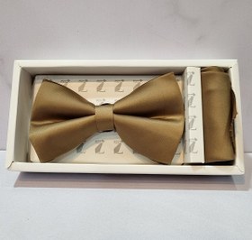 تصویر پاپیون P11 