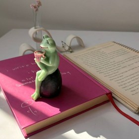 تصویر قالب قورباغه 