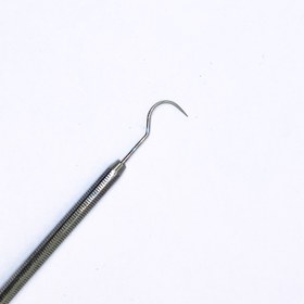 تصویر سوند دو سر کوشا 