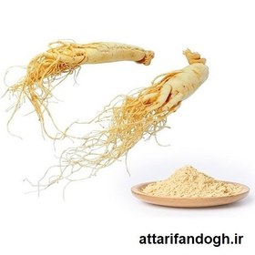 تصویر جینسینگ سفید اصلی 