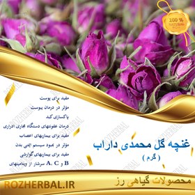 تصویر غنچه گل لاله زار 50 گرمی 