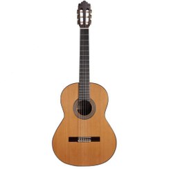 تصویر گیتار آلتامیرا مدل Altamira N400+Case 