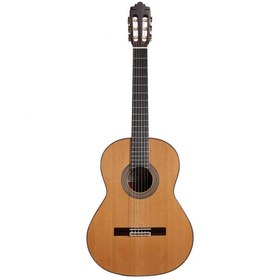 تصویر گیتار آلتامیرا Guitar Altamira N400+Case 